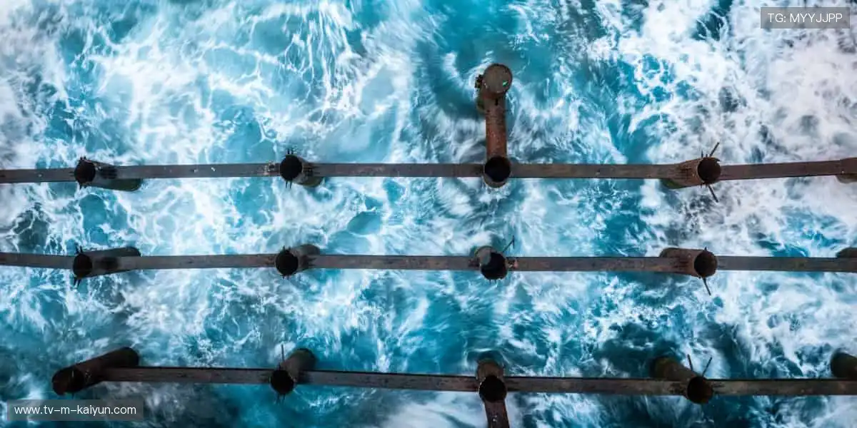 🏆 见证每一刻荣耀,体育赛事官网,让热爱永不缺席!