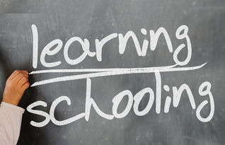 开云体育在线下载-中小学体育教师教学技能提升路径研究,中小学体育教师应具备的教学技能